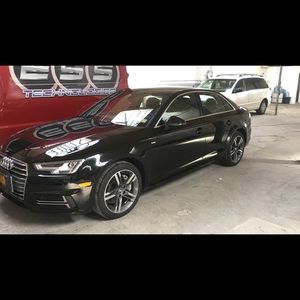 Meet your Posher, Felix